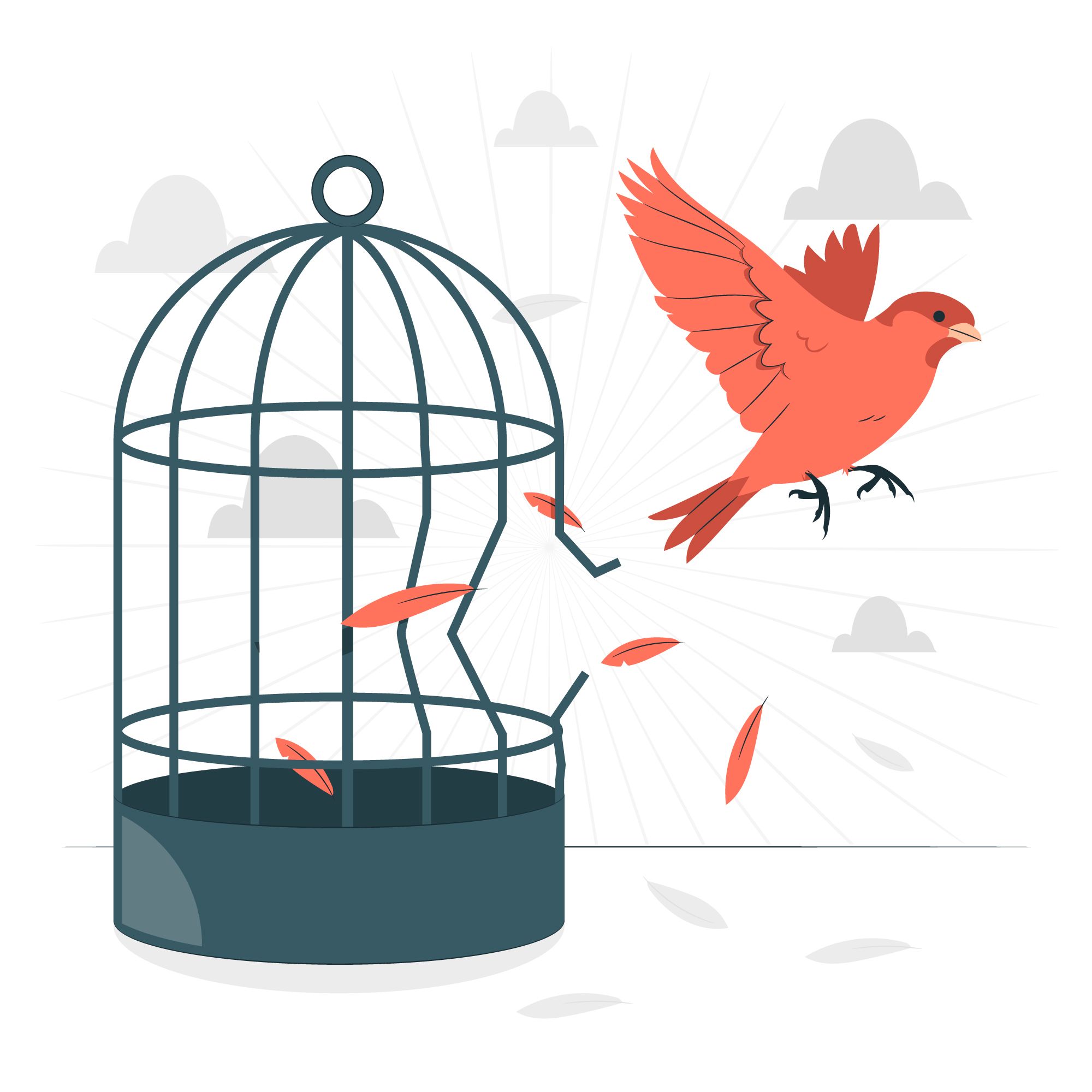 Picture of a red bird escaping from a broken black cage